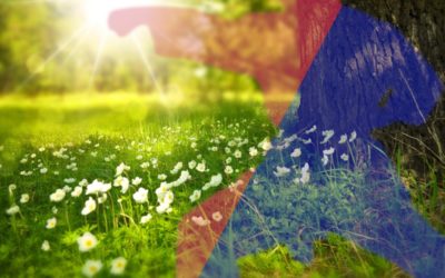 C’est le printemps ! Les compétitions à répétition